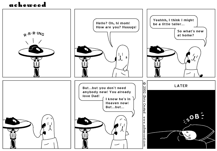 Comic for January 29, 2002