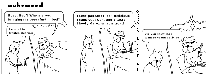 Comic for May 07, 2002