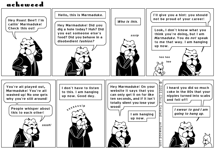 Comic for May 20, 2003
