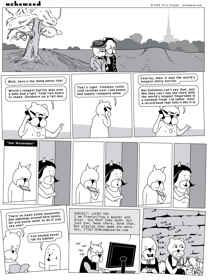 Comic for November 11, 2008