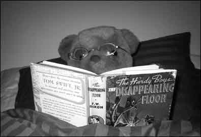 Mr. Bear reading a Hardy Boys book